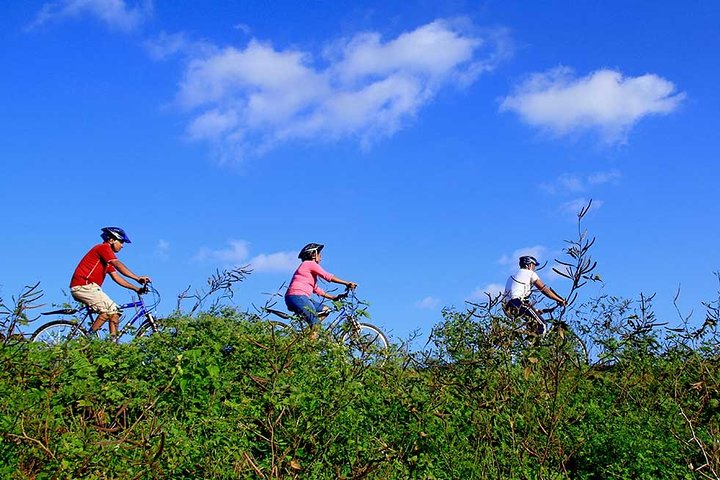Half Day Village Cycling Tour in Yala: - Photo 1 of 4